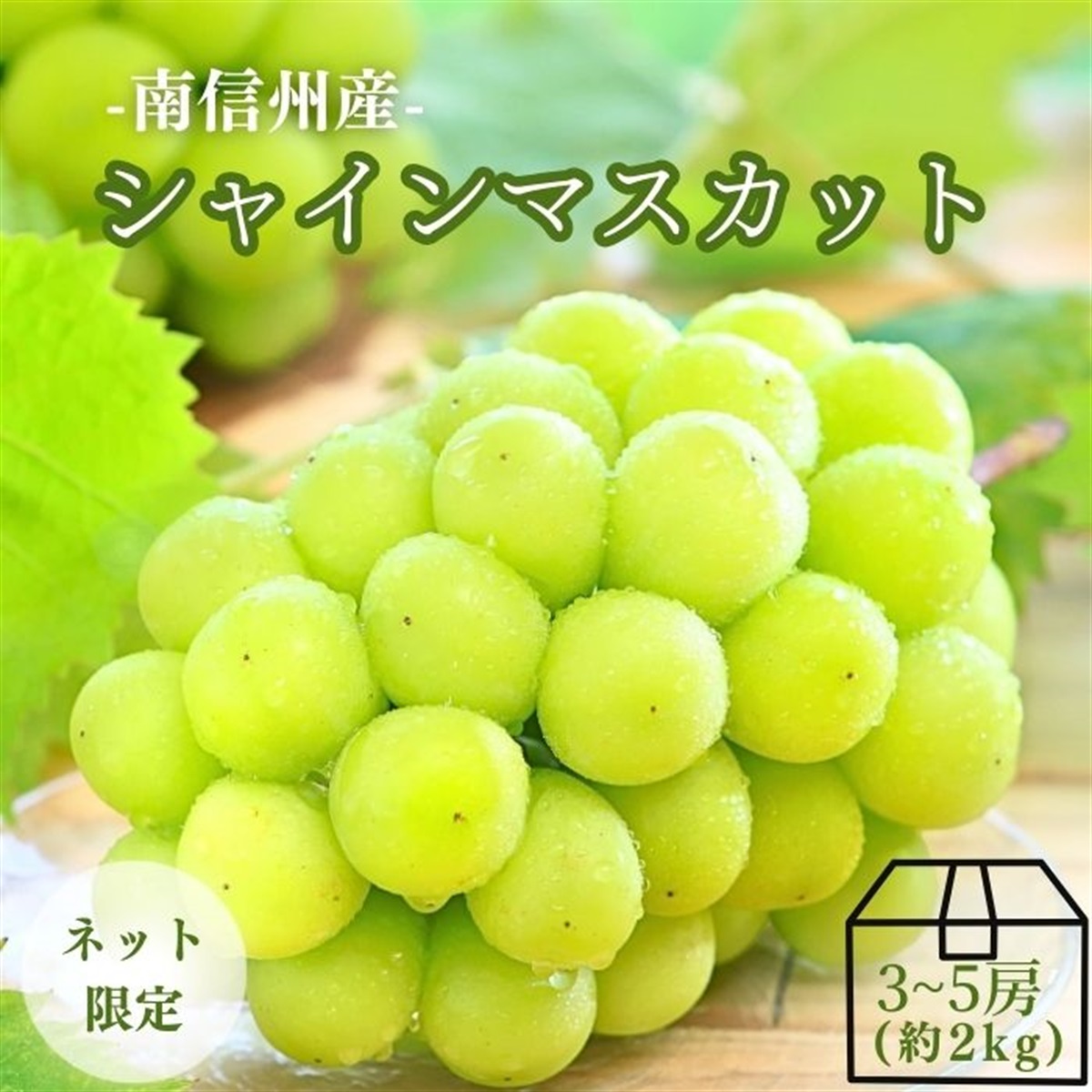 みなみん5キロ　シャインマスカット 商品詳細