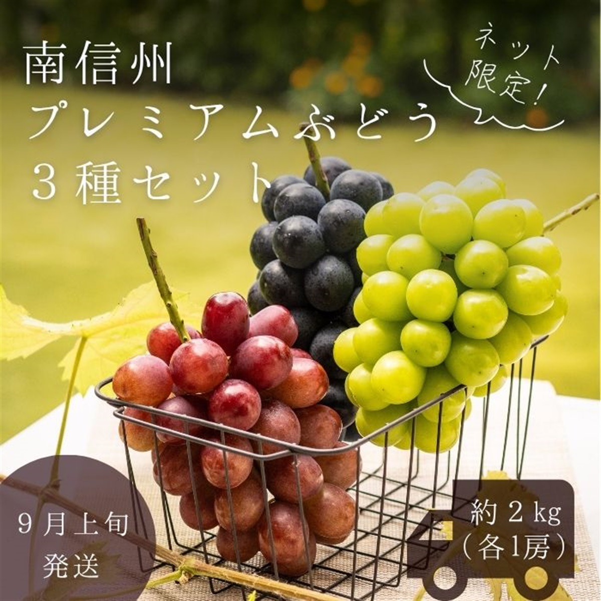 商品詳細