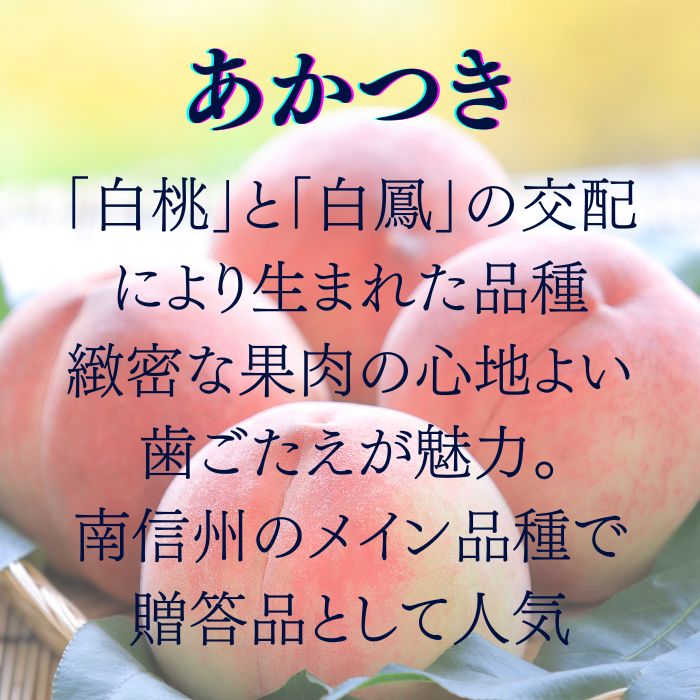 商品詳細