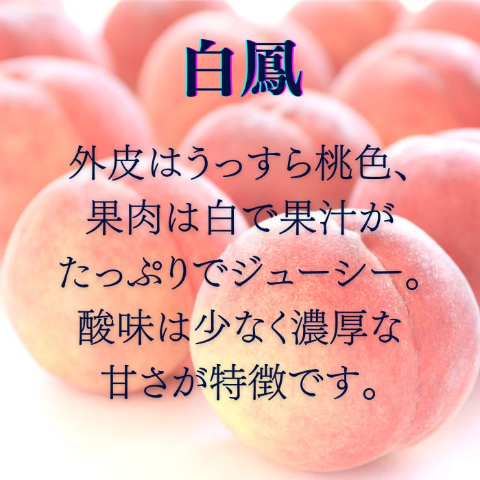 商品詳細