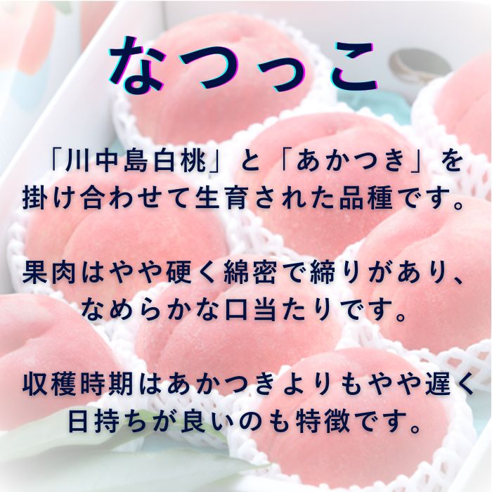商品詳細
