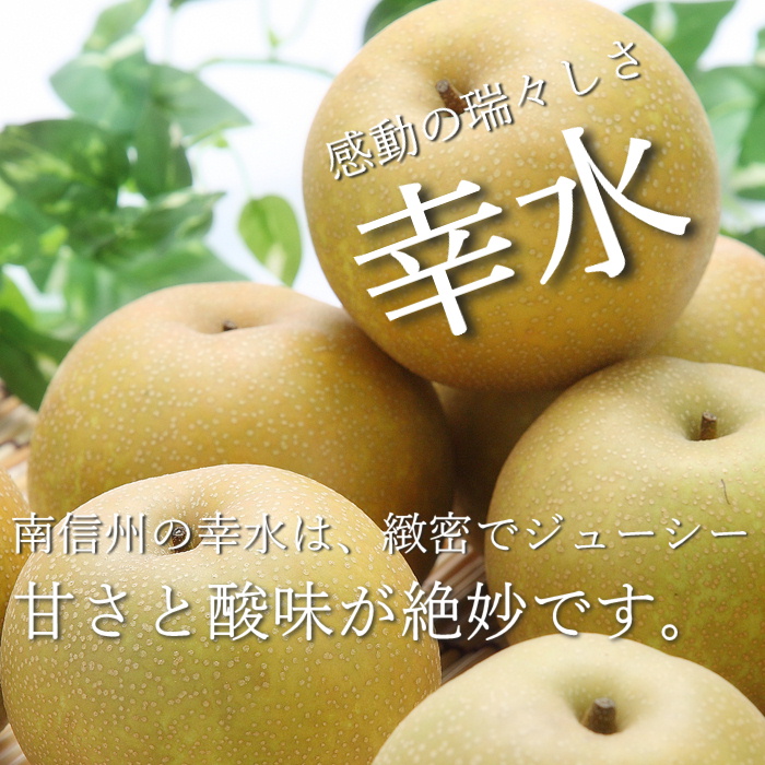 商品詳細
