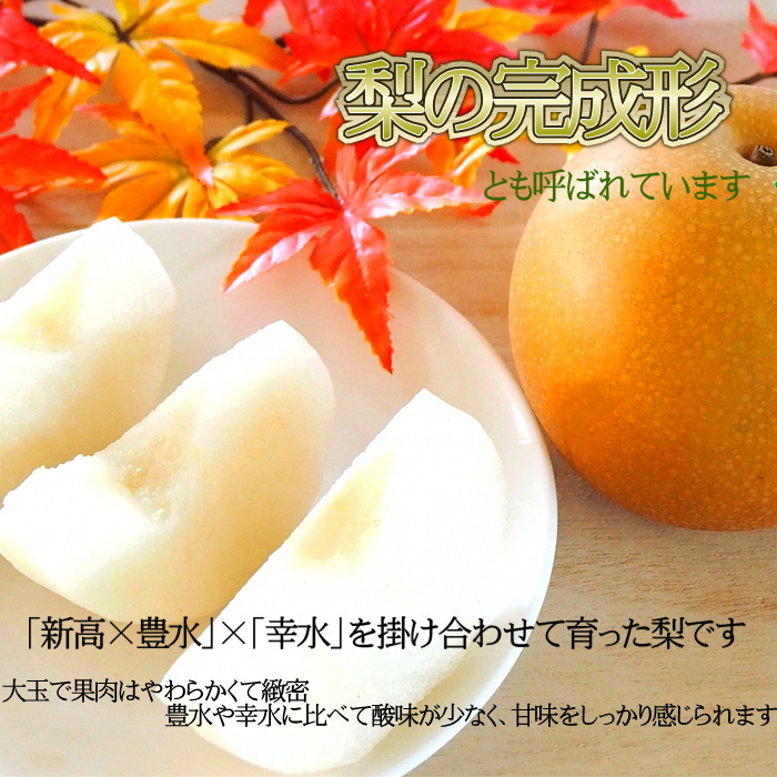 梨　豊水梨　幸水梨　訳あり　約12kg③ 商品詳細